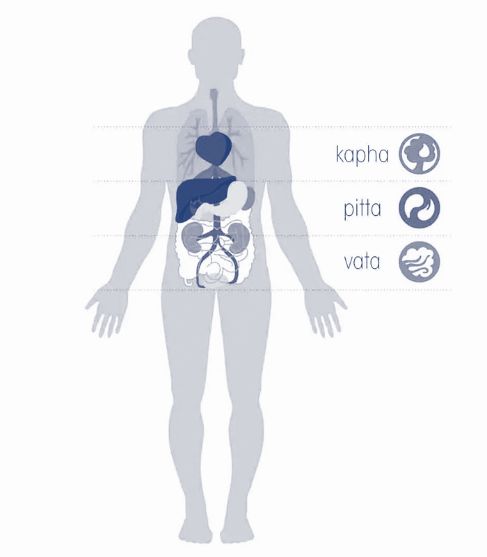 Wat leert Ayurveda ons